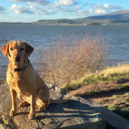 5 Bed In Askam-in-furness Oc-89226