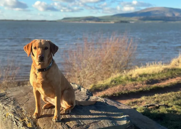 5 Bed In Askam-in-furness Oc-89226